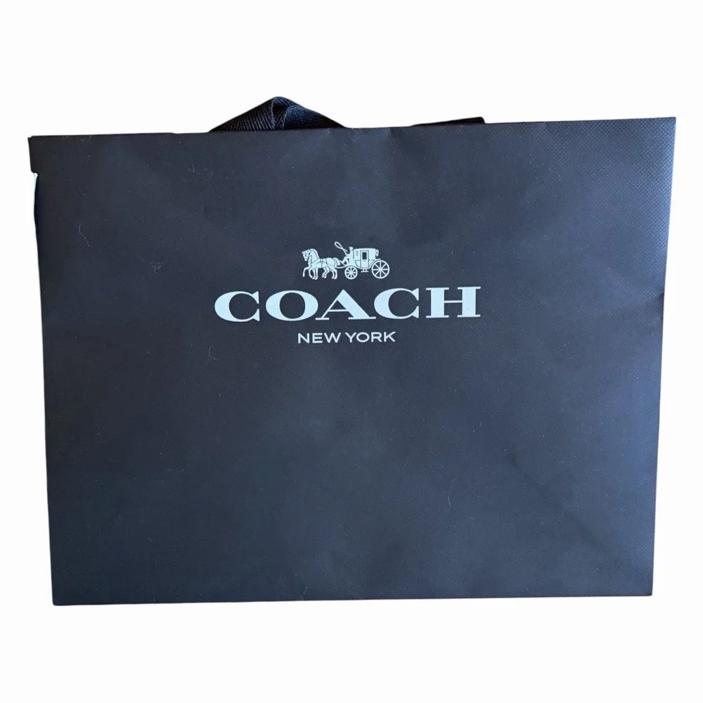 LOUIS VUITTON & Chanel empty Box Shopping Bags LV, Longchamps, Dior, Coach